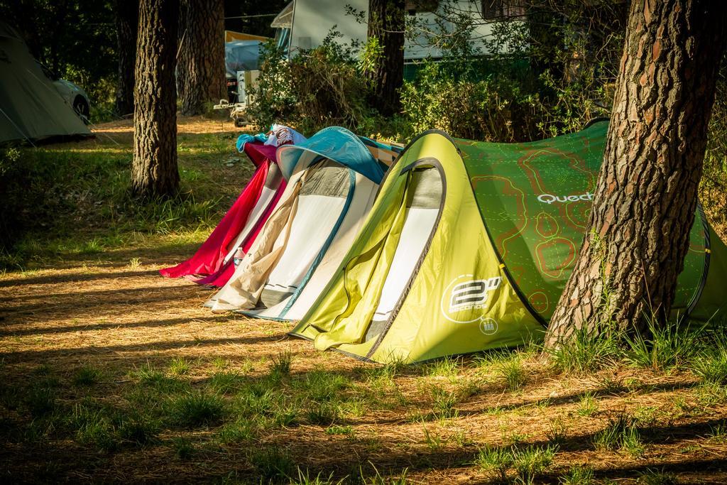 Camping La Sousta**** Ремулін Екстер'єр фото