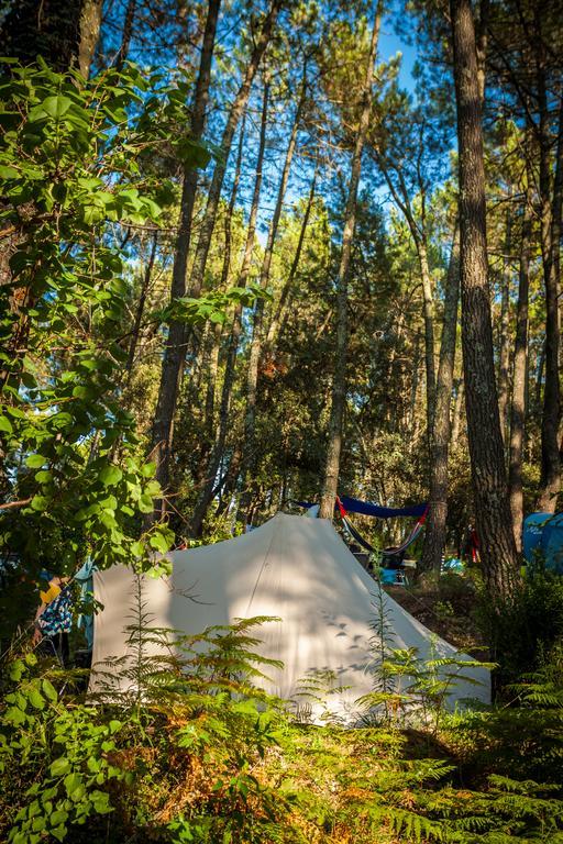 Camping La Sousta**** Ремулін Екстер'єр фото